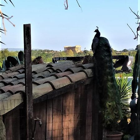B&B Villa San Marco Agrigente Extérieur photo