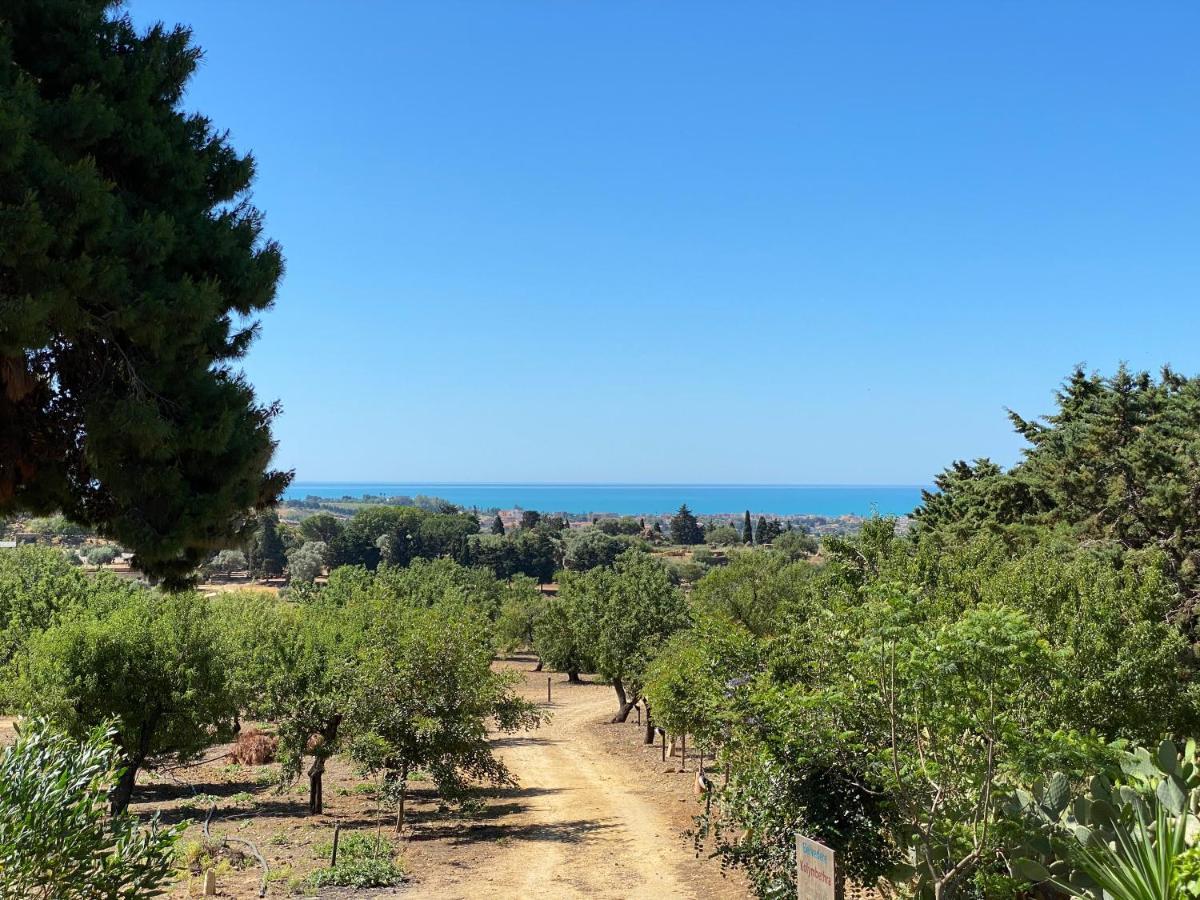 B&B Villa San Marco Agrigente Extérieur photo